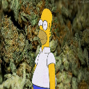 21JESSE_JAMES69