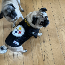 Chucky Steelers
