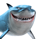 Bruce
