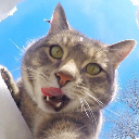 猴猴快把聯盟拿回去