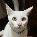 Nyawawuu