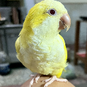 kevin9x9