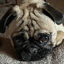 Wilbur