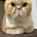 通りすがりのおじさん
