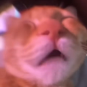 awooo