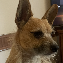 LittleBobby