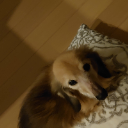 寝落ちジャック