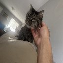 KingNald