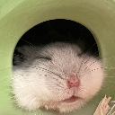 あはははhや