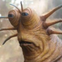 Glub