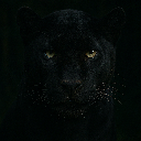 Lord 00001