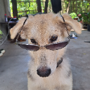 papichulo