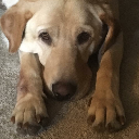 BrotherDoobie
