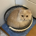 ひより