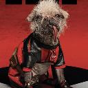 Maddogzz