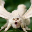 Anger Issues