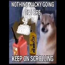 Cheese