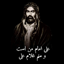 Ali313