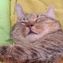 Tina
