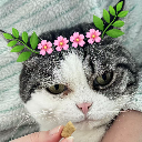 riousZMMミovo彡