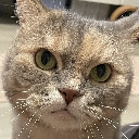 夢の蔵