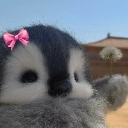 little Beth