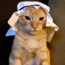 Pirata