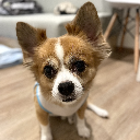 Little_Bolty