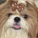 Choko