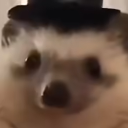 MasterKiller13