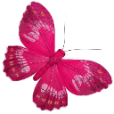 Mothra789