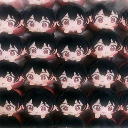 yuu
