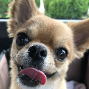 パクパク