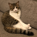 小咪魯