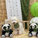 vXue