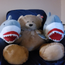 Sharky