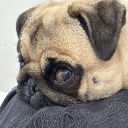 Puggy :P
