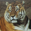 Meo Catbrough
