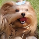 배낭여행's avatar