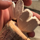 TRIFx22