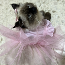 Fatma 23
