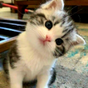 kotaro