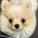 のあの