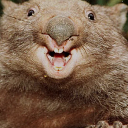 Roderick