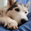 Benja