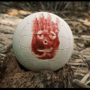 WilsonTheBall