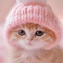 キティ