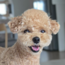 연두AB³