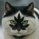 Asteroth