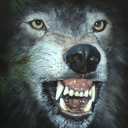 FanG